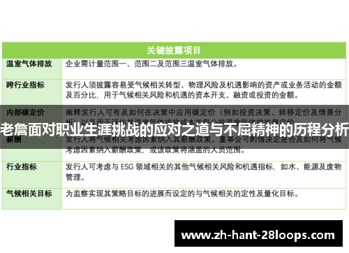 老詹面对职业生涯挑战的应对之道与不屈精神的历程分析