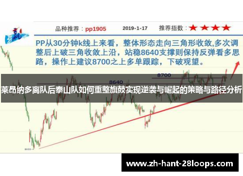 莱昂纳多离队后泰山队如何重整旗鼓实现逆袭与崛起的策略与路径分析