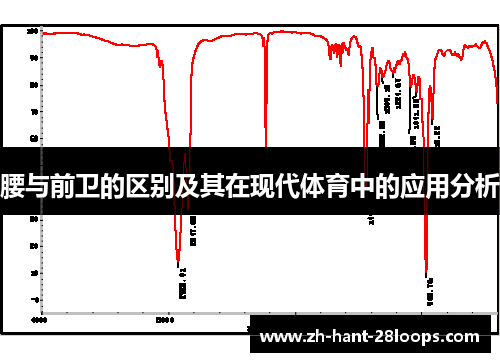 腰与前卫的区别及其在现代体育中的应用分析