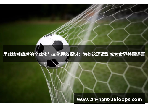 足球热潮背后的全球化与文化现象探讨：为何这项运动成为世界共同语言